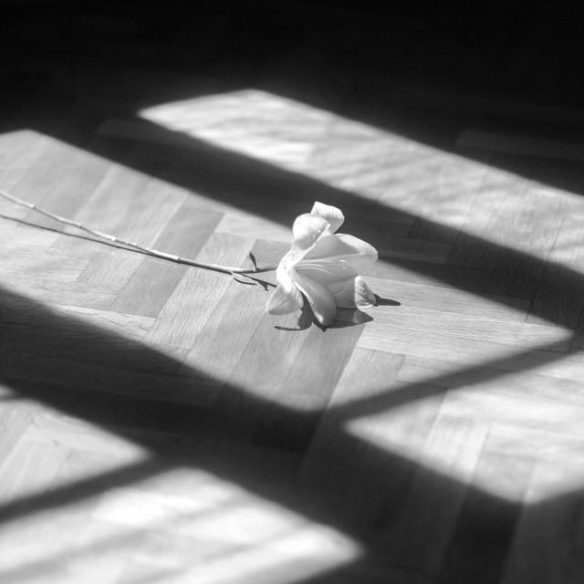 Till Death Do Us Part