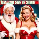 Santa Came Down My Chimney