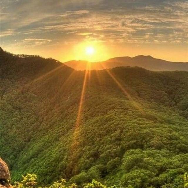 I see the light sunning bright