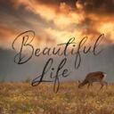Beautiful Life