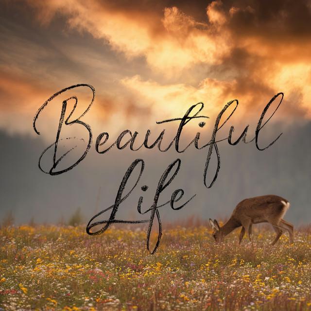 Beautiful Life