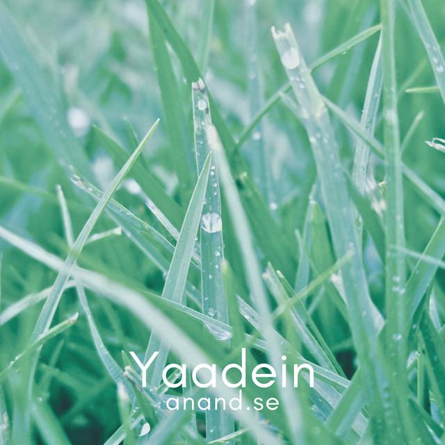 Yaadein
