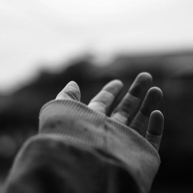 The Wedge Between Us