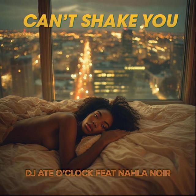 Can't Shake You