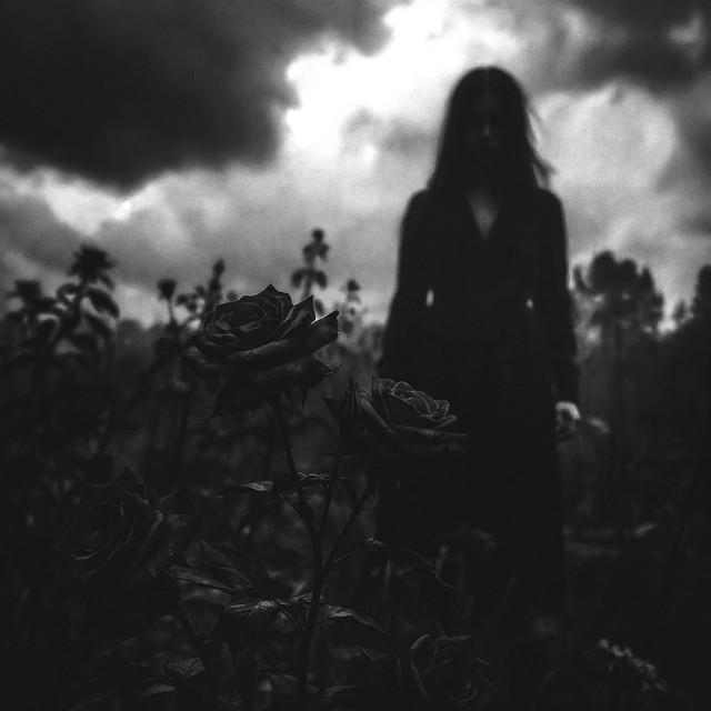 War Inside My Skin - Acoustic