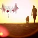 My Four Legged Friend