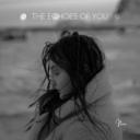 The Echoes Of You