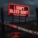 I Don't Bleed Quiet