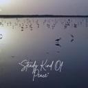 Steady Kind Of Peace