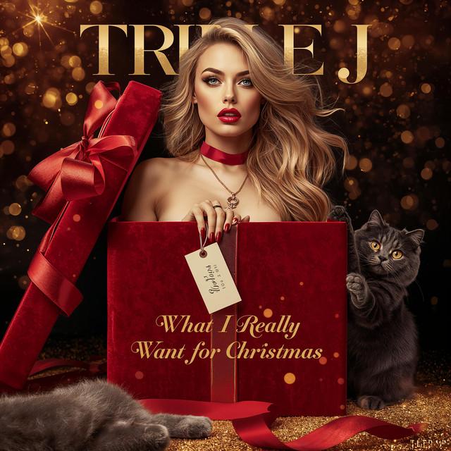 What I Really Want For Christmas