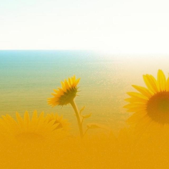 Let's Share the World