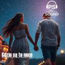 Gdzie są te noce (Official Audio) - PS-SOUND -