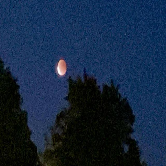 I want it all or nothing