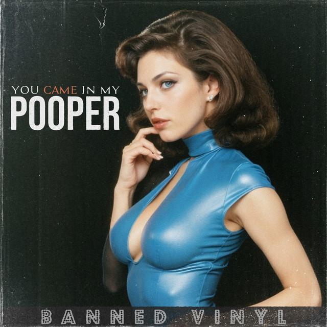 You Came in My Pooper