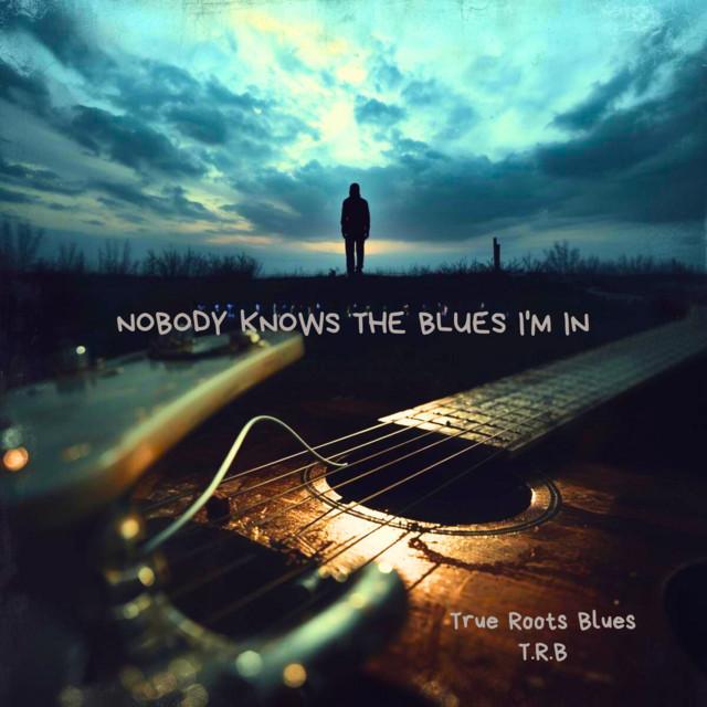 Nobody Knows the Blues I’m In - T.R.B