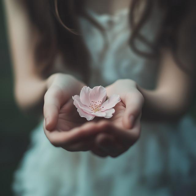 星に託した願い