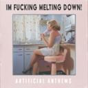 I'm Fucking Melting Down!