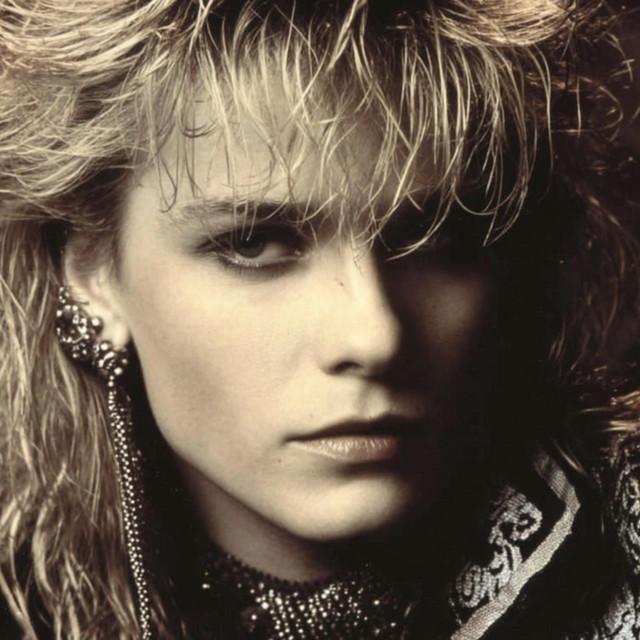 Wings Over the Silence