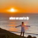 Where We Used To Fly