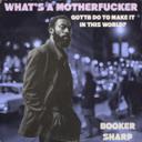 What's A Motherfucker Gotta Do To Make It In This World?