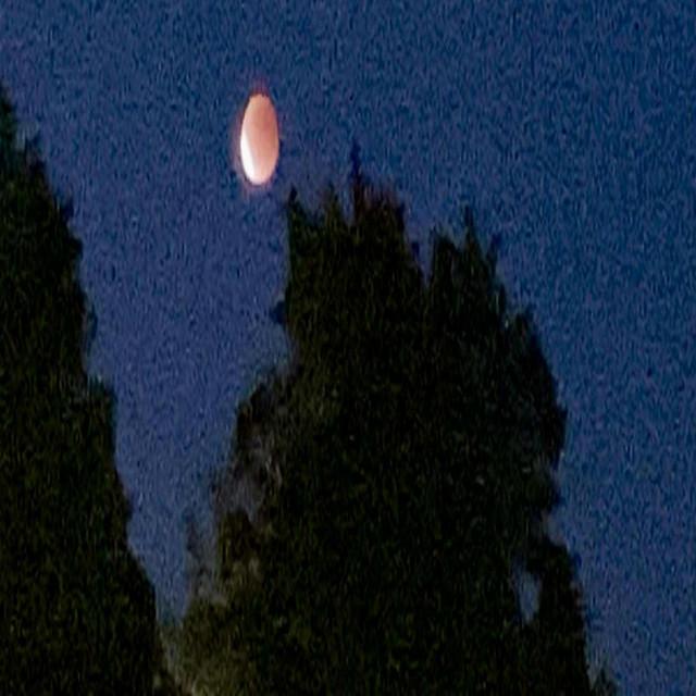 I need some plain talk