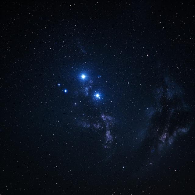 I Will Make a New Path