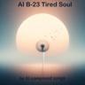 AI B-23 Tired Soul