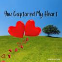 You Captured My Heart