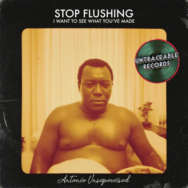 Stop flushing, I want to see what you've made