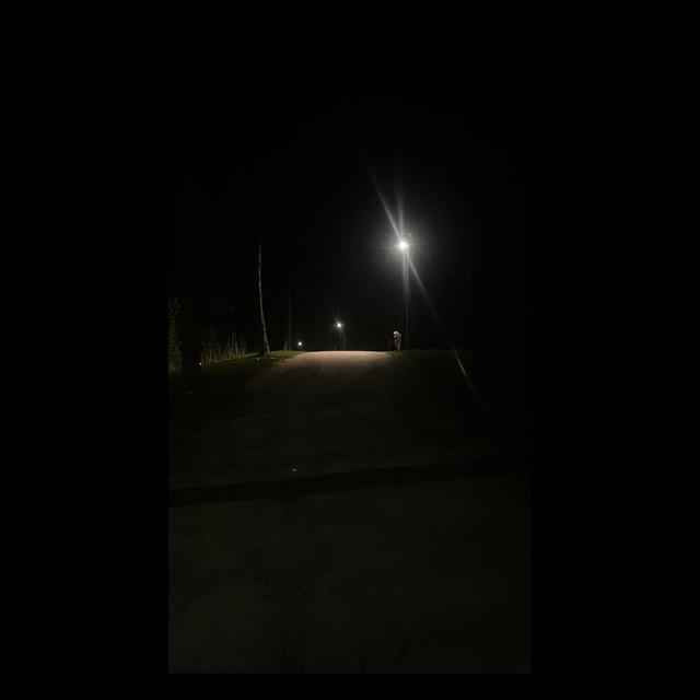 Absent in Plain Sight