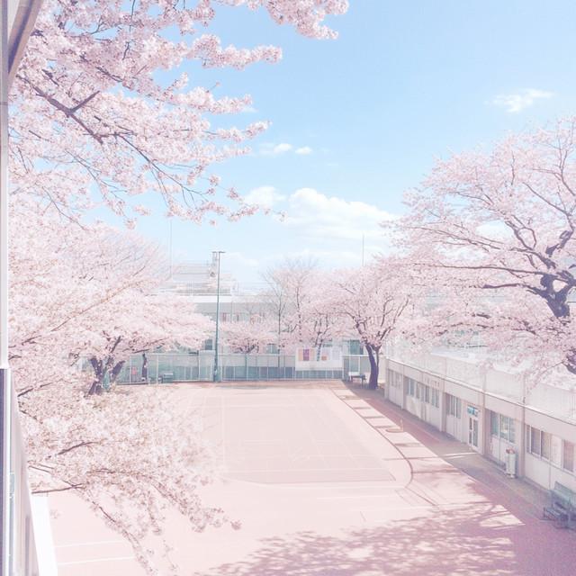 桜舞う空の下で