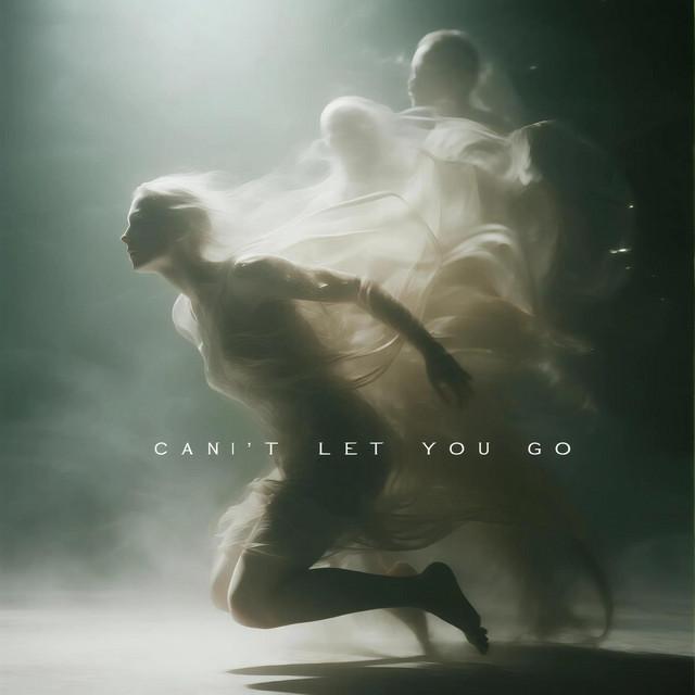 CAN’T LET YOU GO