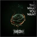 Is This What You Want?