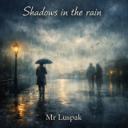 Shadows in the rain