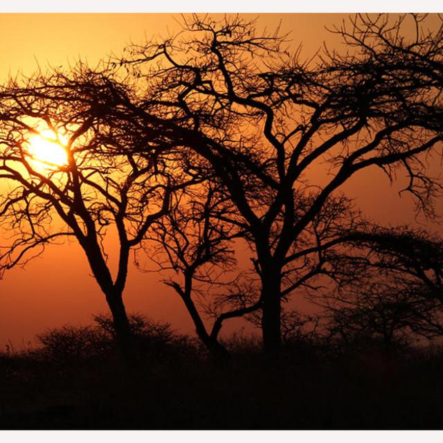 Underneath the African Sky