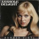 Asshole Delight