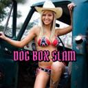 DOG BOX SLAM