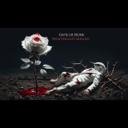 Nightingale's Melody - Gothic Rock Version