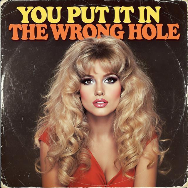You Put It in the Wrong Hole