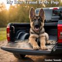 My Best Friend Is My Pup (A Song For My Dog)