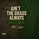 I Should, I Don't Wanna