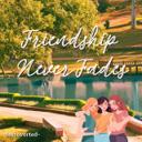 Friendship Never Fades