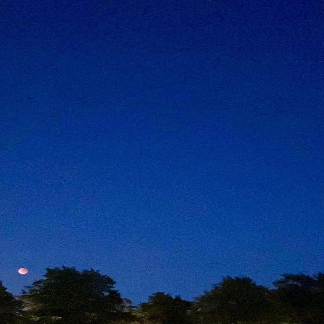 I’ll let the engine roar