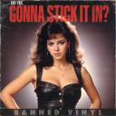 Are You Gonna Stick It In?