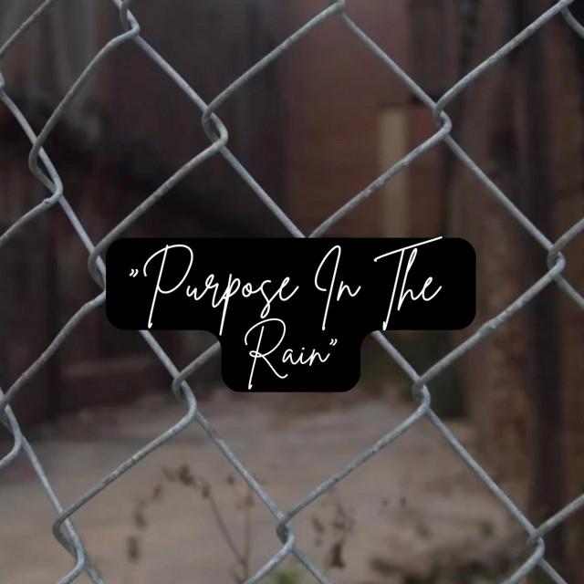 Purpose In The Rain