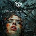 I Wanna Know What Love Is