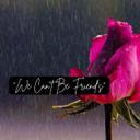 We Can't Be Friend's