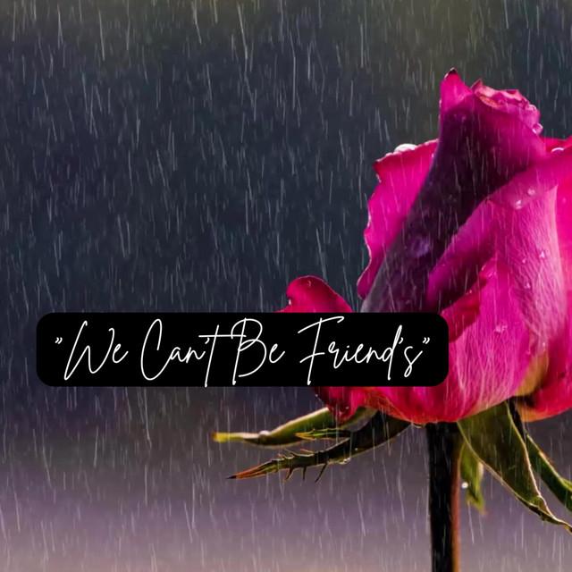 We Can't Be Friend's