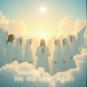 We Will Meet Again