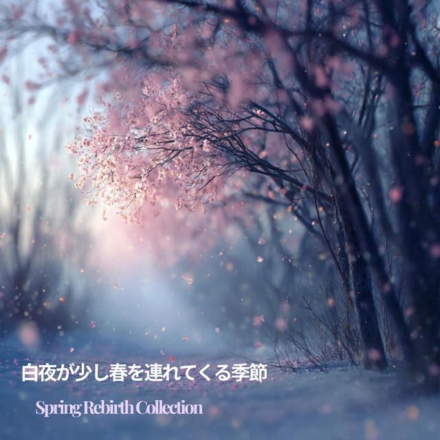 冬陽と春色の午後 – Harmony Light